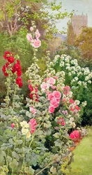 The Garden